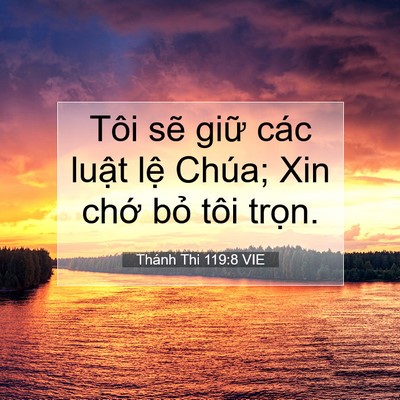 Picture 07 - Thánh Thi 119:8 VIE - Tôi sẽ giữ các luật lệ Chúa; Xin chớ - Bible Verse Picture