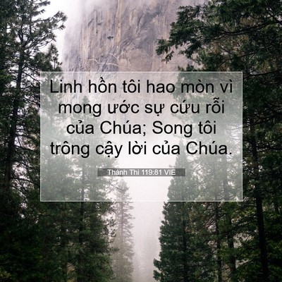 Picture 07 - Thánh Thi 119:81 VIE - Linh hồn tôi hao mòn vì mong ước sự - Bible Verse Picture