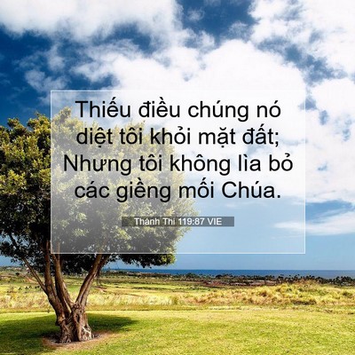 Picture 07 - Thánh Thi 119:87 VIE - Thiếu điều chúng nó diệt tôi khỏi - Bible Verse Picture