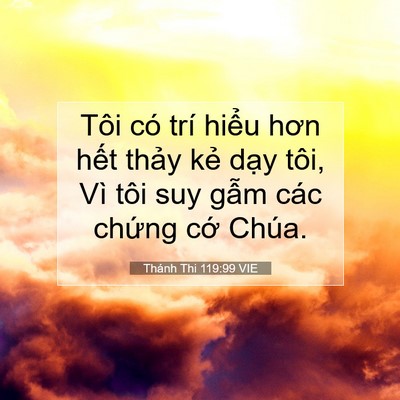 Picture 07 - Thánh Thi 119:99 VIE - Tôi có trí hiểu hơn hết thảy kẻ dạy - Bible Verse Picture