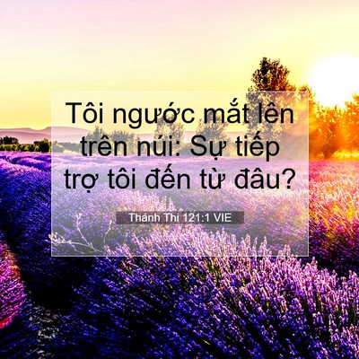 Picture 07 - Thánh Thi 121:1 VIE - Tôi ngước mắt lên trên núi: Sự tiếp - Bible Verse Picture