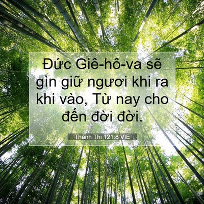 Picture 07 - Thánh Thi 121:8 VIE - Đức Giê-hô-va sẽ gìn giữ ngươi khi ra - Bible Verse Picture