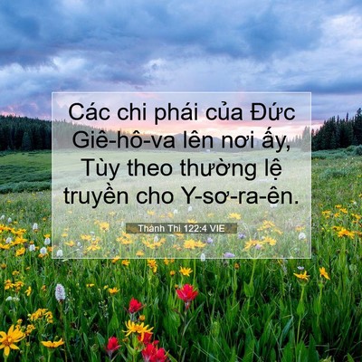 Picture 07 - Thánh Thi 122:4 VIE - Các chi phái của Đức Giê-hô-va lên nơi - Bible Verse Picture