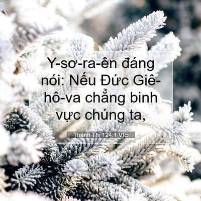 Picture 07 - Thánh Thi 124:1 VIE - Y-sơ-ra-ên đáng nói: Nếu Đức - Bible Verse Picture