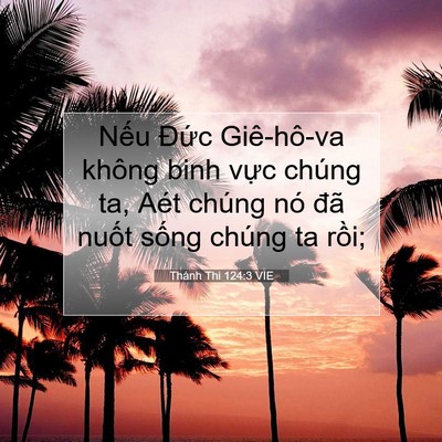 Picture 07 - Thánh Thi 124:3 VIE - Nếu Đức Giê-hô-va không binh vực chúng - Bible Verse Picture