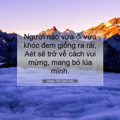 Picture 07 - Thánh Thi 126:6 VIE - Người nào vừa đi vừa khóc đem giống - Bible Verse Picture