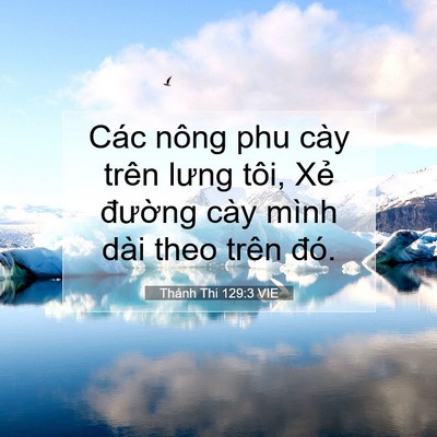 Picture 07 - Thánh Thi 129:3 VIE - Các nông phu cày trên lưng tôi, Xẻ - Bible Verse Picture