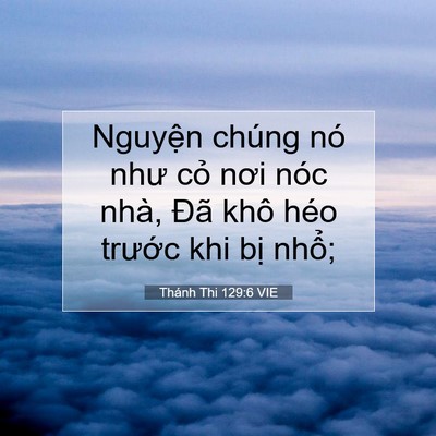 Picture 07 - Thánh Thi 129:6 VIE - Nguyện chúng nó như cỏ nơi nóc nhà, - Bible Verse Picture