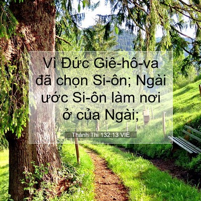 Picture 07 - Thánh Thi 132:13 VIE - Vì Đức Giê-hô-va đã chọn Si-ôn; Ngài - Bible Verse Picture