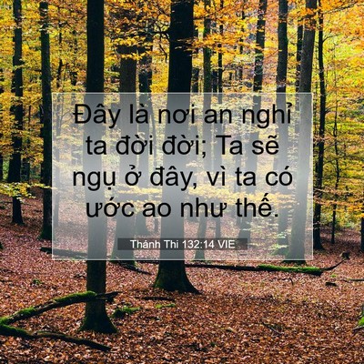 Picture 07 - Thánh Thi 132:14 VIE - Đây là nơi an nghỉ ta đời đời; Ta - Bible Verse Picture