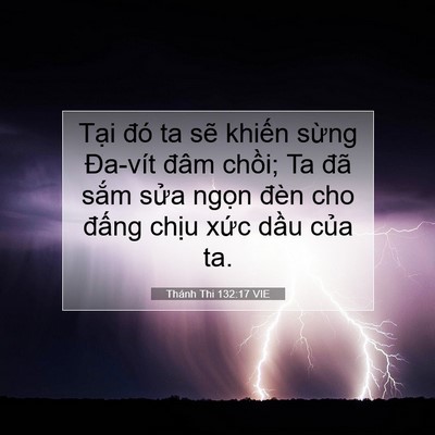 Picture 07 - Thánh Thi 132:17 VIE - Tại đó ta sẽ khiến sừng Đa-vít đâm - Bible Verse Picture