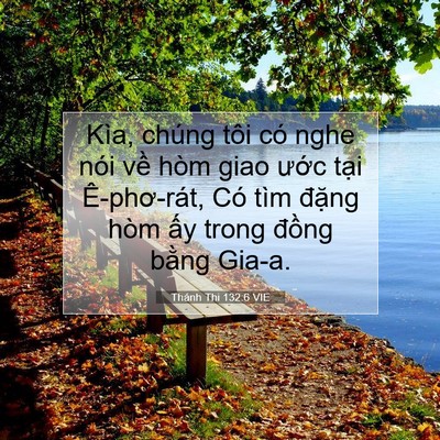 Picture 07 - Thánh Thi 132:6 VIE - Kìa, chúng tôi có nghe nói về hòm giao - Bible Verse Picture