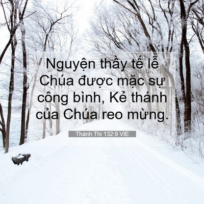 Picture 07 - Thánh Thi 132:9 VIE - Nguyện thầy tế lễ Chúa được mặc - Bible Verse Picture