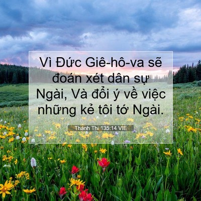 Picture 07 - Thánh Thi 135:14 VIE - Vì Đức Giê-hô-va sẽ đoán xét dân sự - Bible Verse Picture