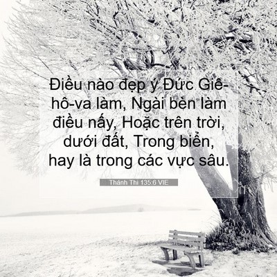 Picture 07 - Thánh Thi 135:6 VIE - Điều nào đẹp ý Đức Giê-hô-va làm, - Bible Verse Picture