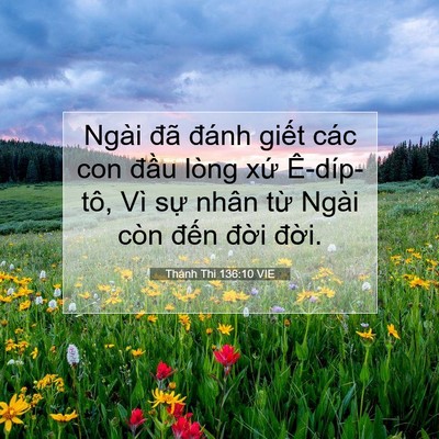 Picture 07 - Thánh Thi 136:10 VIE - Ngài đã đánh giết các con đầu lòng - Bible Verse Picture