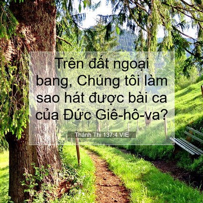 Picture 07 - Thánh Thi 137:4 VIE - Trên đất ngoại bang, Chúng tôi làm sao - Bible Verse Picture