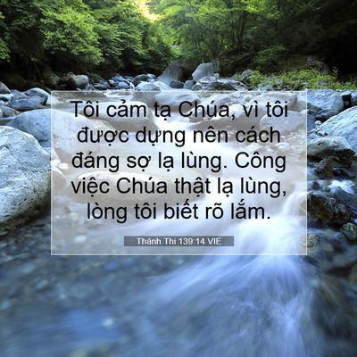 Picture 07 - Thánh Thi 139:14 VIE - Tôi cảm tạ Chúa, vì tôi được dựng - Bible Verse Picture
