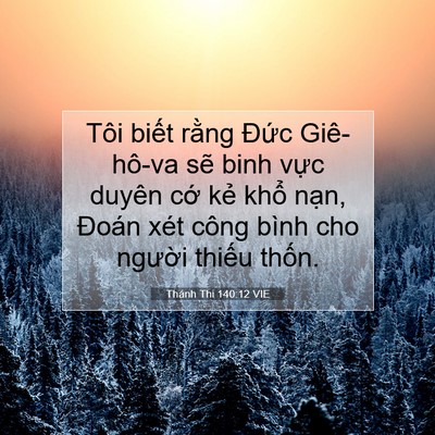 Picture 07 - Thánh Thi 140:12 VIE - Tôi biết rằng Đức Giê-hô-va sẽ binh - Bible Verse Picture