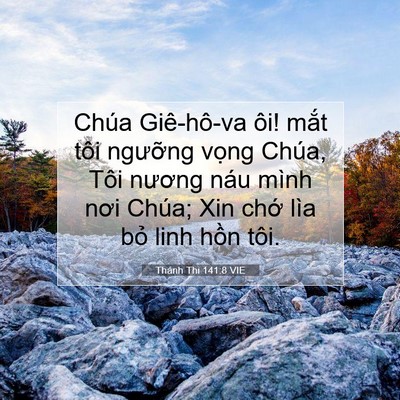 Picture 07 - Thánh Thi 141:8 VIE - Chúa Giê-hô-va ôi! mắt tôi ngưỡng - Bible Verse Picture
