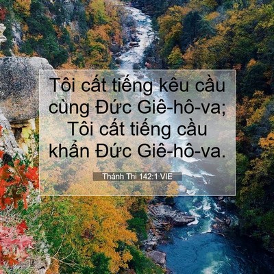 Picture 07 - Thánh Thi 142:1 VIE - Tôi cất tiếng kêu cầu cùng Đức - Bible Verse Picture