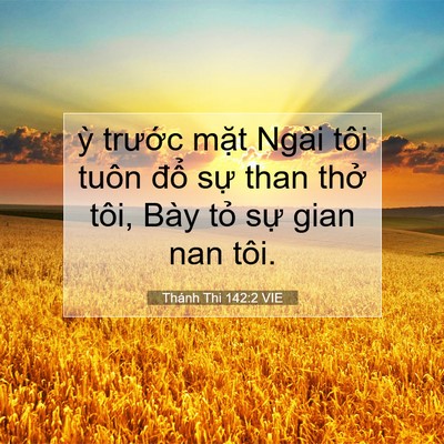 Picture 07 - Thánh Thi 142:2 VIE - ỳ trước mặt Ngài tôi tuôn đổ sự - Bible Verse Picture