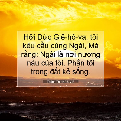 Picture 07 - Thánh Thi 142:5 VIE - Hỡi Đức Giê-hô-va, tôi kêu cầu cùng - Bible Verse Picture