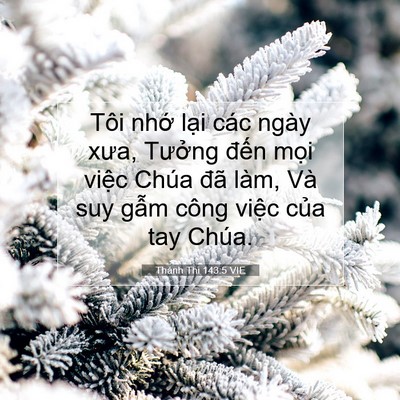Picture 07 - Thánh Thi 143:5 VIE - Tôi nhớ lại các ngày xưa, Tưởng đến - Bible Verse Picture