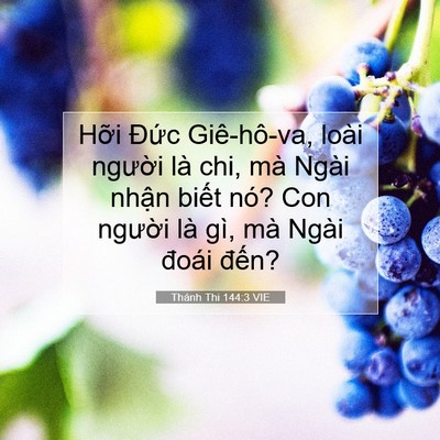 Picture 07 - Thánh Thi 144:3 VIE - Hỡi Đức Giê-hô-va, loài người là chi, - Bible Verse Picture