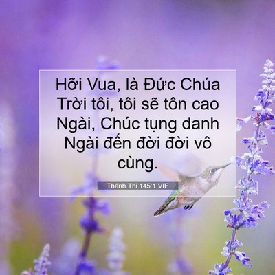 Picture 07 - Thánh Thi 145:1 VIE - Hỡi Vua, là Đức Chúa Trời tôi, tôi - Bible Verse Picture