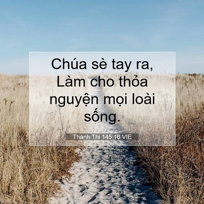 Picture 07 - Thánh Thi 145:16 VIE - Chúa sè tay ra, Làm cho thỏa nguyện mọi - Bible Verse Picture