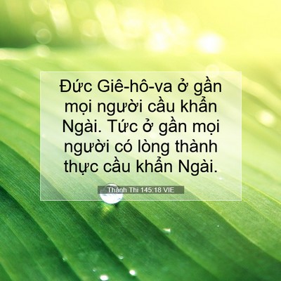 Picture 07 - Thánh Thi 145:18 VIE - Đức Giê-hô-va ở gần mọi người cầu - Bible Verse Picture