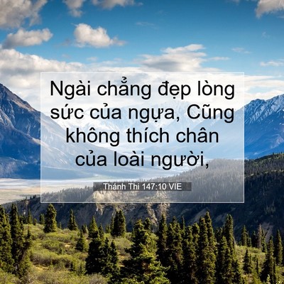 Picture 07 - Thánh Thi 147:10 VIE - Ngài chẳng đẹp lòng sức của ngựa, - Bible Verse Picture