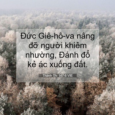 Picture 07 - Thánh Thi 147:6 VIE - Đức Giê-hô-va nâng đỡ người khiêm - Bible Verse Picture