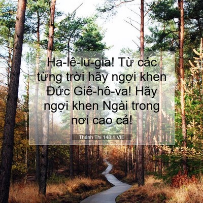 Picture 07 - Thánh Thi 148:1 VIE - Ha-lê-lu-gia! Từ các từng trời hãy - Bible Verse Picture