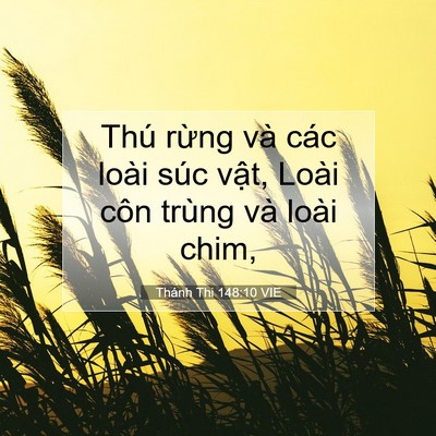 Picture 07 - Thánh Thi 148:10 VIE - Thú rừng và các loài súc vật, Loài côn - Bible Verse Picture