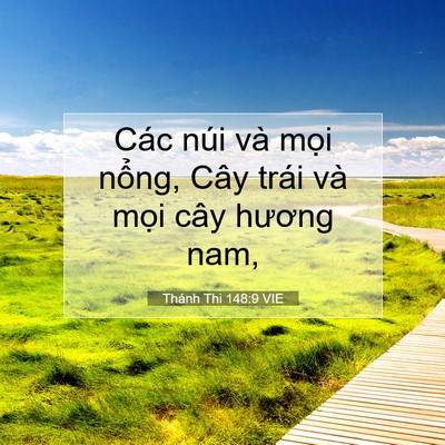 Picture 07 - Thánh Thi 148:9 VIE - Các núi và mọi nổng, Cây trái và mọi - Bible Verse Picture