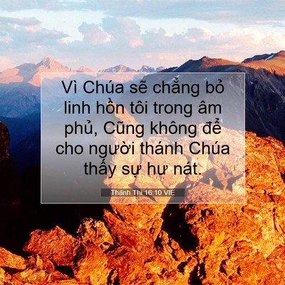 Picture 07 - Thánh Thi 16:10 VIE - Vì Chúa sẽ chẳng bỏ linh hồn tôi trong - Bible Verse Picture