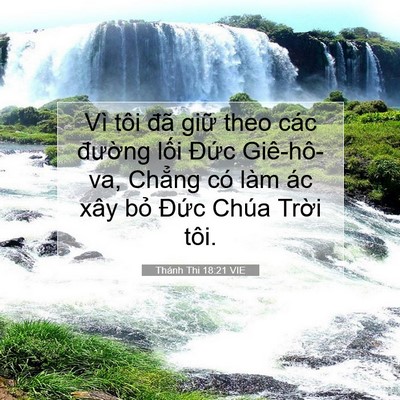 Picture 07 - Thánh Thi 18:21 VIE - Vì tôi đã giữ theo các đường lối - Bible Verse Picture