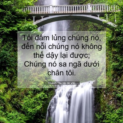 Picture 07 - Thánh Thi 18:38 VIE - Tôi đâm lủng chúng nó, đến nỗi chúng - Bible Verse Picture
