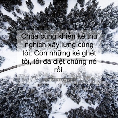 Picture 07 - Thánh Thi 18:40 VIE - Chúa cũng khiến kẻ thù nghịch xây lưng - Bible Verse Picture