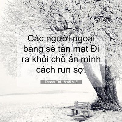 Picture 07 - Thánh Thi 18:45 VIE - Các người ngoại bang sẽ tàn mạt Đi ra - Bible Verse Picture