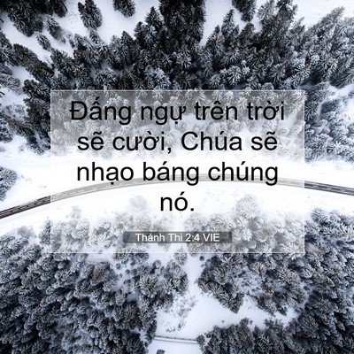 Picture 07 - Thánh Thi 2:4 VIE - Đấng ngự trên trời sẽ cười, Chúa - Bible Verse Picture