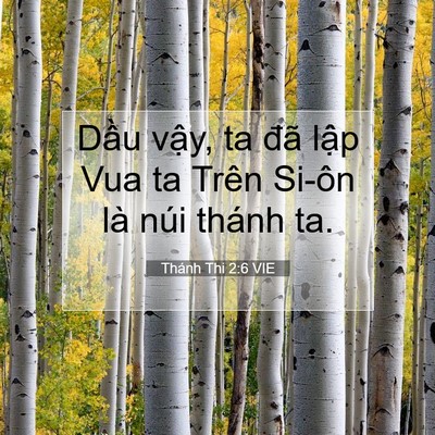 Picture 07 - Thánh Thi 2:6 VIE - Dầu vậy, ta đã lập Vua ta Trên Si-ôn - Bible Verse Picture