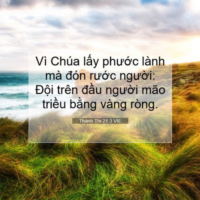 Picture 07 - Thánh Thi 21:3 VIE - Vì Chúa lấy phước lành mà đón rước - Bible Verse Picture