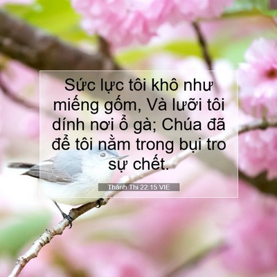 Picture 07 - Thánh Thi 22:15 VIE - Sức lực tôi khô như miếng gốm, Và - Bible Verse Picture