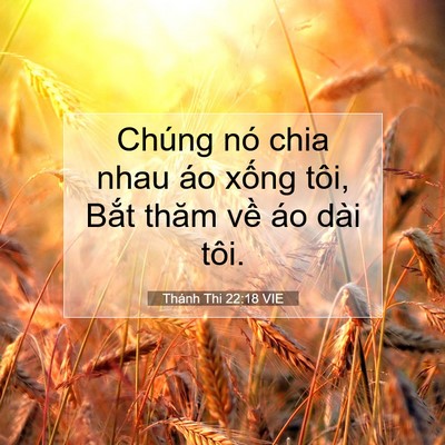 Picture 07 - Thánh Thi 22:18 VIE - Chúng nó chia nhau áo xống tôi, Bắt thăm - Bible Verse Picture