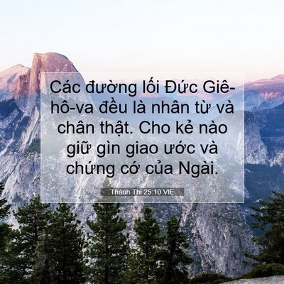 Picture 07 - Thánh Thi 25:10 VIE - Các đường lối Đức Giê-hô-va đều - Bible Verse Picture