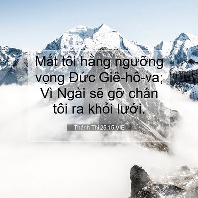 Picture 07 - Thánh Thi 25:15 VIE - Mắt tôi hằng ngưỡng vọng Đức - Bible Verse Picture