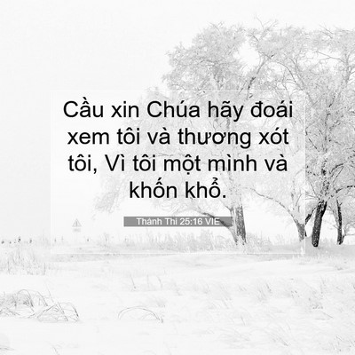 Picture 07 - Thánh Thi 25:16 VIE - Cầu xin Chúa hãy đoái xem tôi và thương - Bible Verse Picture